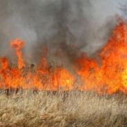 ROAD TO GLOBAL ELITE