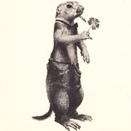 Prairie Dog Gaming USA