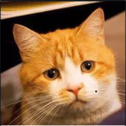 **燃烧石光荣（8爷）