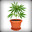 Potted Plant