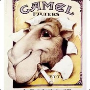 CAMEL