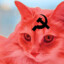 gatitocomunista