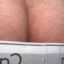 Dregs (new stomach)