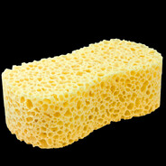 Gąbka