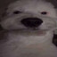 i want to killblind irl