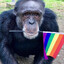 DUNG DUNG DE UGWA DE PRIDE