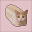 Loaf Cat