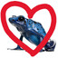 bluefrogfan2010