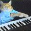 Keyboard Cat - Nicko