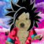 GOKU SSJ4