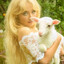 sheepi