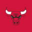 CHICAGO BULLS