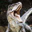 Raptor
