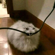 Рамзан Пармезан