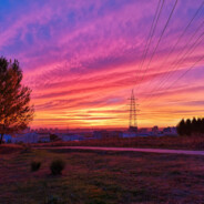 不🦌会似的懵内