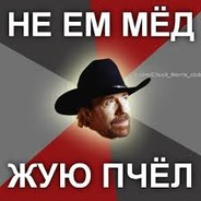 радиатор дима