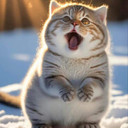 ⎝❤Happy Cat❤ ⎠