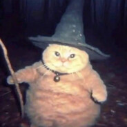 Wizard Cat ⚡