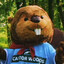 Bober the Beaver