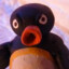 NOOT NOOT