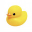 yel1ow duck