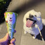 Scream for Icecream