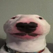 Maksim avatar