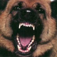 -x)(x-WarPuppy - steam id 76561197960784092