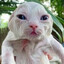 Avatar of KennyTha ^~^