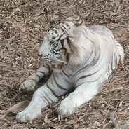 那个鲜为人知的男人