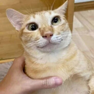 Артематорий