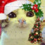 Lex_EN