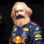 Marx Verstappen ☭