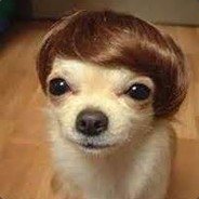 vexxd