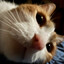 Avatar of notdeco