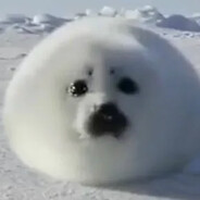 мои яйца убийцы - steam id 76561199718843322