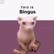 Bingus