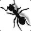 Blackant