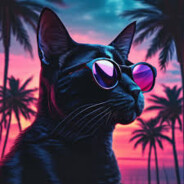 Mr. Cat