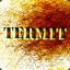 TERMIT