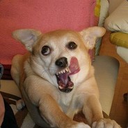 Няяяяммммм