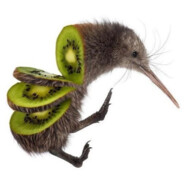 Kiwi #FixTF2