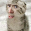 neskwik s pivom