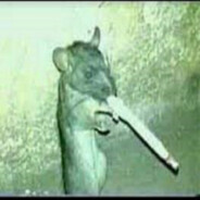Ratatouille