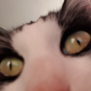 zhaynee - steam id 76561199041908314
