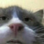 reb