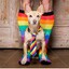 gay dog