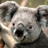 T1000 - steam id 76561198330134860