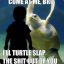 iliketurtles666