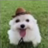 la grosse salope
